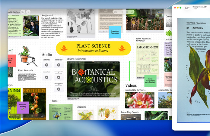 Ein Freeform Board zum Thema Pflanzenkunde auf dem Mac, organisiert mit Audio, Videos und Recherchen, neben einem Vorschau Fenster einer PDF-Datei als Beispiel für einfache Produktivität