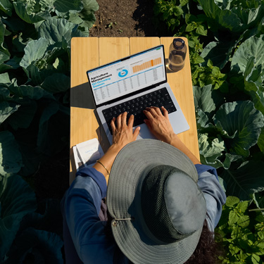 Vista panorámica de una mujer con un sombrero de ala ancha que trabaja en una presentación de negocios en un MacBook, sentada en una mesa en un jardín.